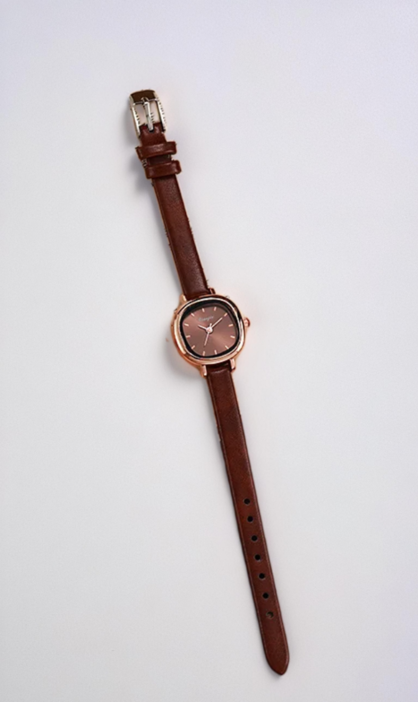 Biaojie Women's Quartz