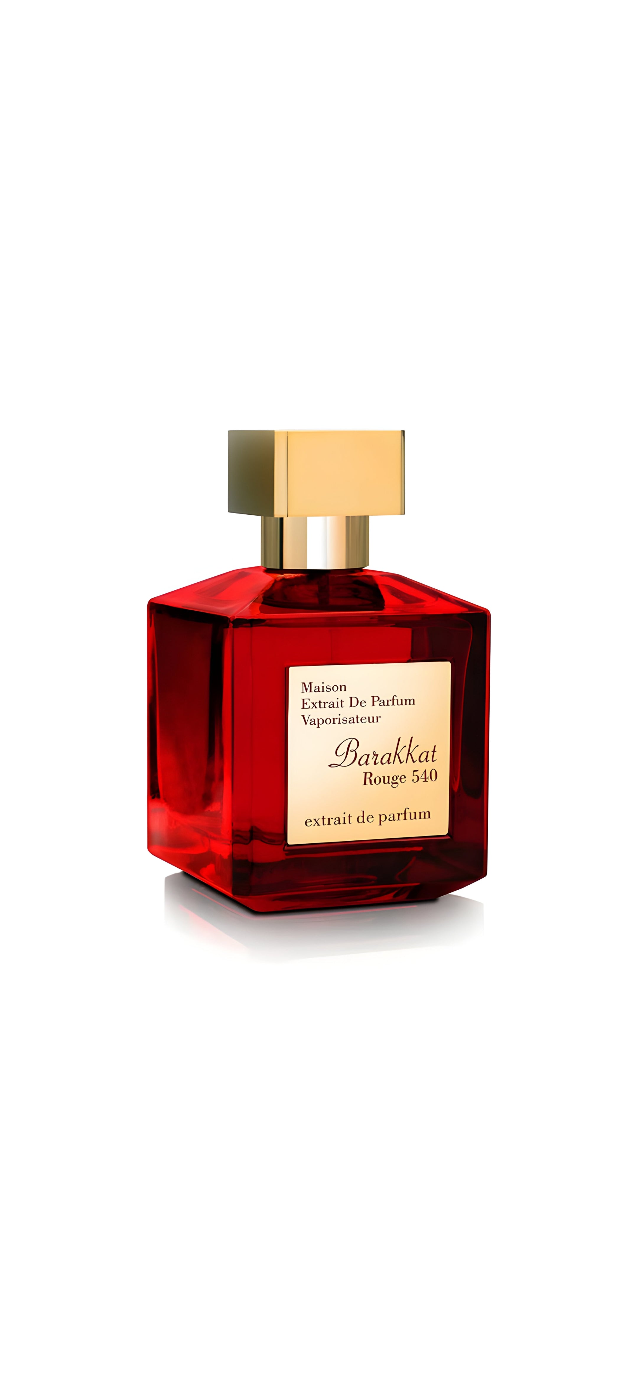 Barakkat Rouge 540 Extrait De Parfum By Fragrance World | 100ml